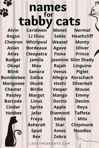 150+ Tabby Cat Names for Your Cute Kitty