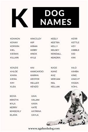 200+ Dog Names That Start with K for Your Kawaii Puppy