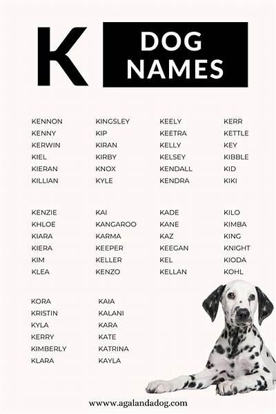 200+ Dog Names That Start with K for Your Kawaii Puppy