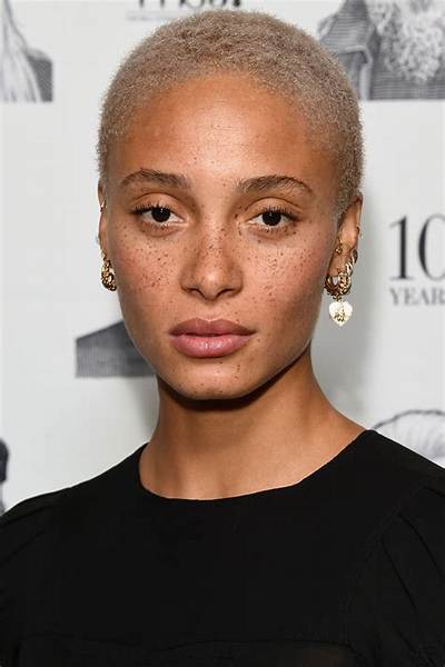 Adwoa Aboah Boyfriend: Who Is the British Fashion Model’s Dating Partner?