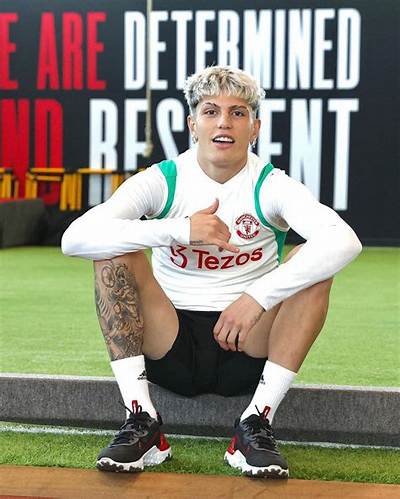 Alejandro Garnacho Biography: Nationality, Age, Height, Net Worth, Girlfriend, Salary, Child, Stats, Parents
