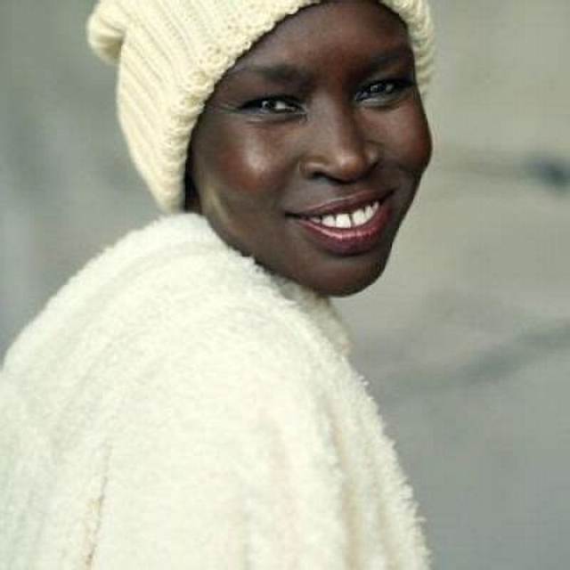 Alek Wek (Model) Wiki, Bio, Age, Height, Weight, Net Worth, Boyfriend, Ethnicity Facts
