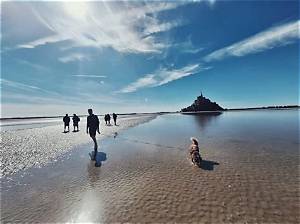 All You Need to Know About Michel Stern – Lisa Kudrow’s Husband