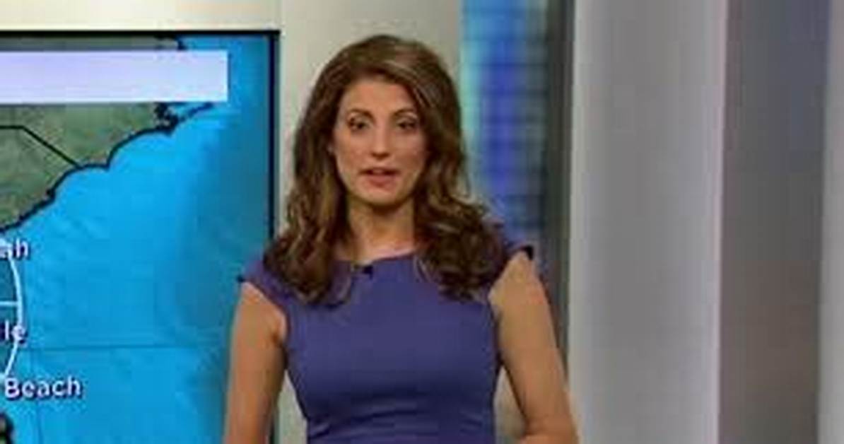 Allison Chinchar Bio, Age, Husband, Parents, Net Worth, Cnn, Salary
