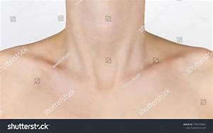 Are Visible Collarbones Genetic