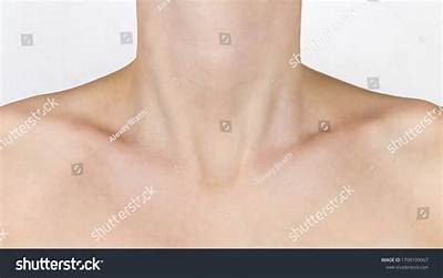 Are Visible Collarbones Genetic