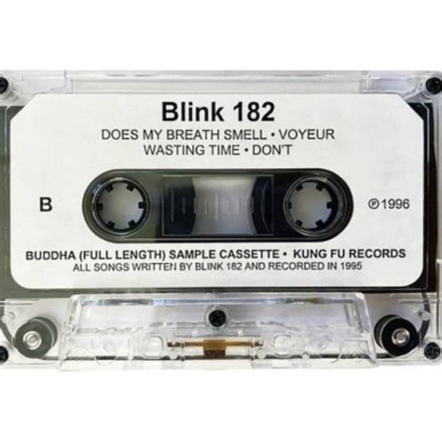 Blink 182’S Wasting Time Lyrics