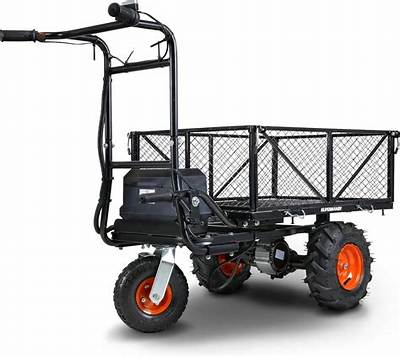 Can Anyone Use the Electric Carts at Walmart