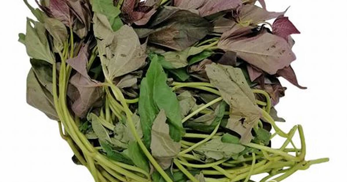 Can Camote Tops Be Eaten Raw