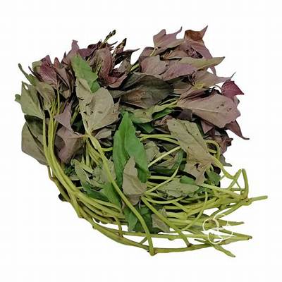 Can Camote Tops Be Eaten Raw