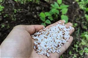 Can You Put Too Much Gypsum on Lawn