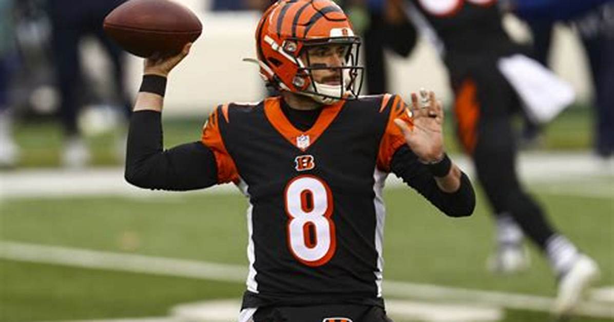 Cincinnati Bengals Qb Brandon Allen Brother Austin Allen; Age Gap Family Ethnicity and Net Worth Difference