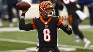 Cincinnati Bengals Qb Brandon Allen Brother Austin Allen; Age Gap Family Ethnicity and Net Worth Difference