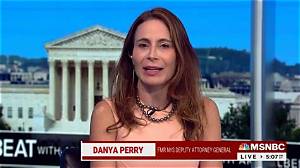 Danya Perry Attorney Wikipedia Biography, Husband and Age: Who Is She Married to?