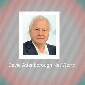 David Bamberger Net Worth, Income, Salary, Earnings, Biography