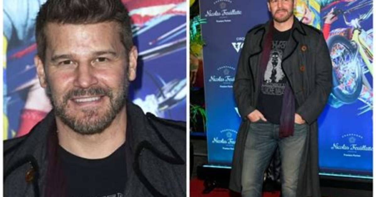David Boreanaz’s Net Worth, Age, Height, Weight, Wife, Kids, Bio-Wiki