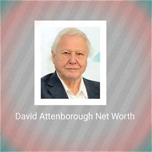 David Davis Net Worth, Income, Salary, Earnings, Biography
