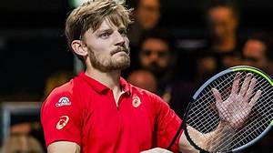 David Goffin Net Worth, Income, Salary, Earnings, Biography