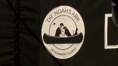 Did Dr Noah Arnold Killed Himself? Suicide Linked to His Death Cause