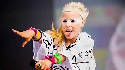 Die Antwoord Net Worth: Die Antwoord Biography, Age, Career and Net Worth