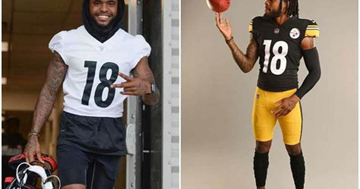 Diontae Johnson Injury, Date Joined, Weight, Current Team, Instagram