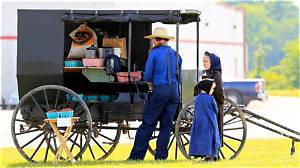 Do the Amish Have a Lot of Puppy Mills