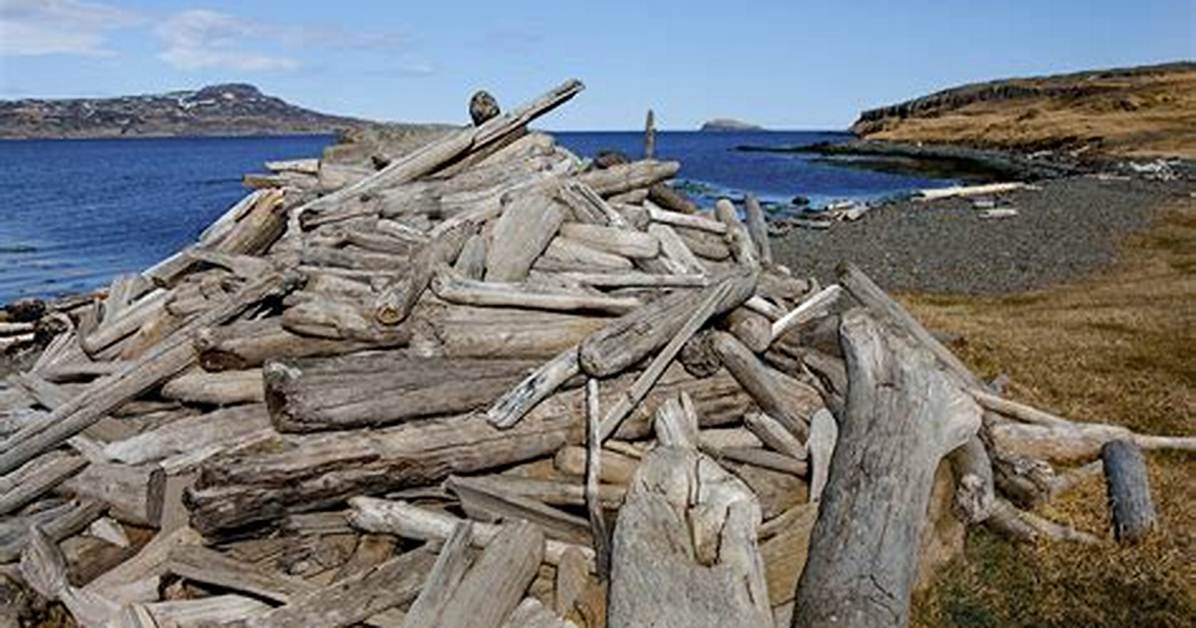 Does Zatara Mean Driftwood