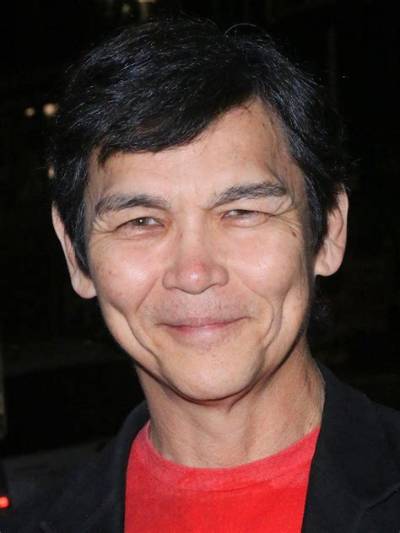 Don ‘The Dragon’ Wilson Net Worth, Income, Salary, Earnings, Biography