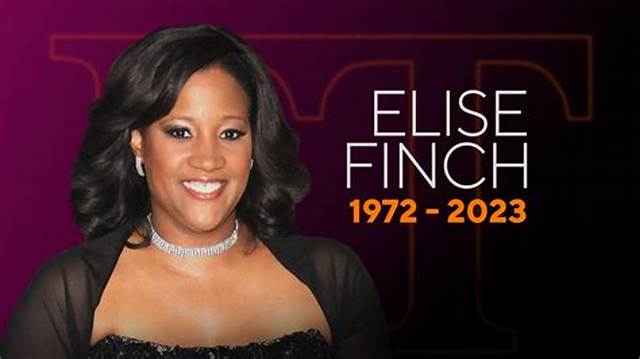 Elise Finch Salary: How Much Was Elise Finch Paid?