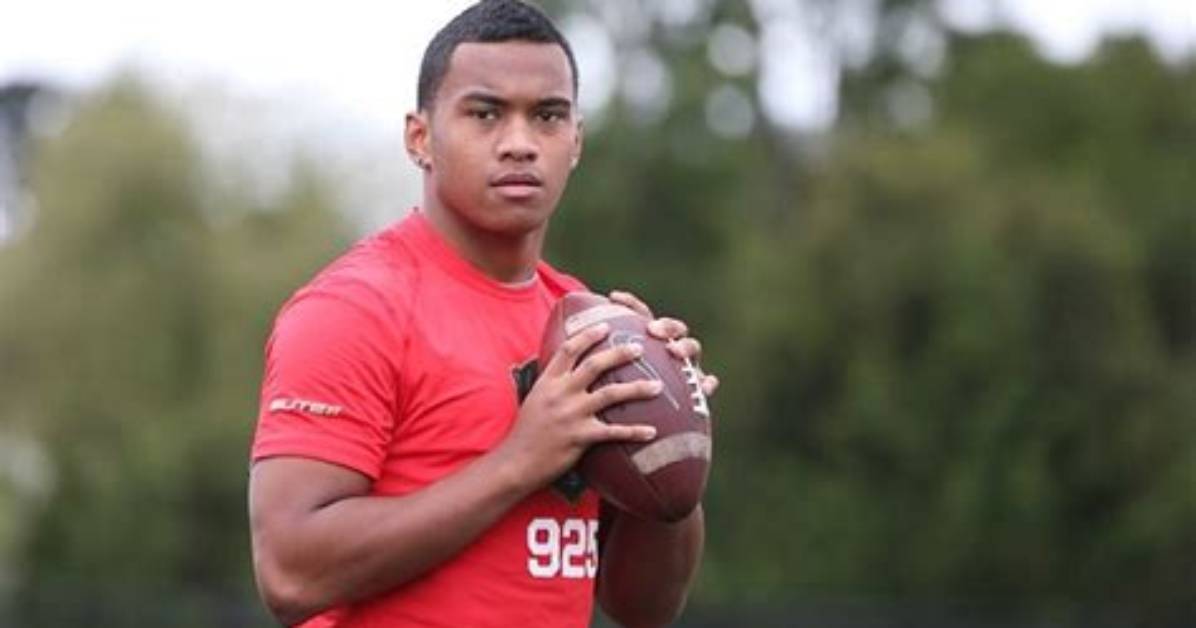 Galu Tagovailoa Job: Tua Tagovailoa Wikipedia, Biography, Father, Ethnicity, Wife, Family