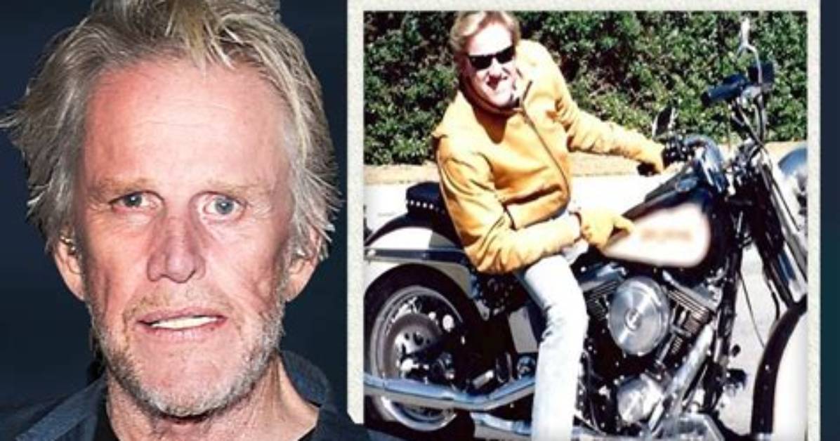 Gary Busey Before and After Motorcycle Accident: Did the Actor Lose His Mind?