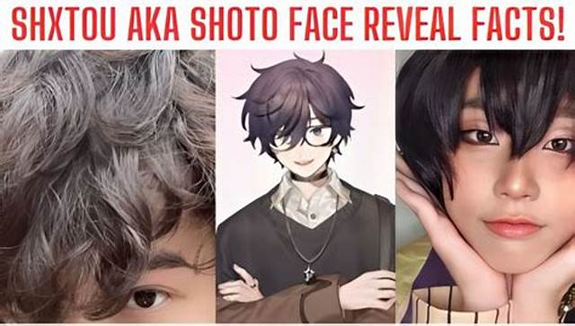 Has Shoto Vtuber Done a Face Reveal? Explore More Details About the Streamer