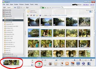 How Do I Access My Picasa Albums