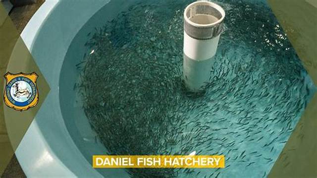 How Do You Activate Fish Hatchery in Skyrim