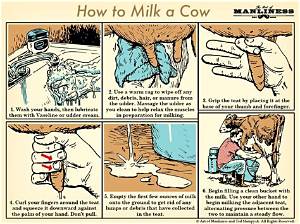How Do You Milk a Cow in Minecraft