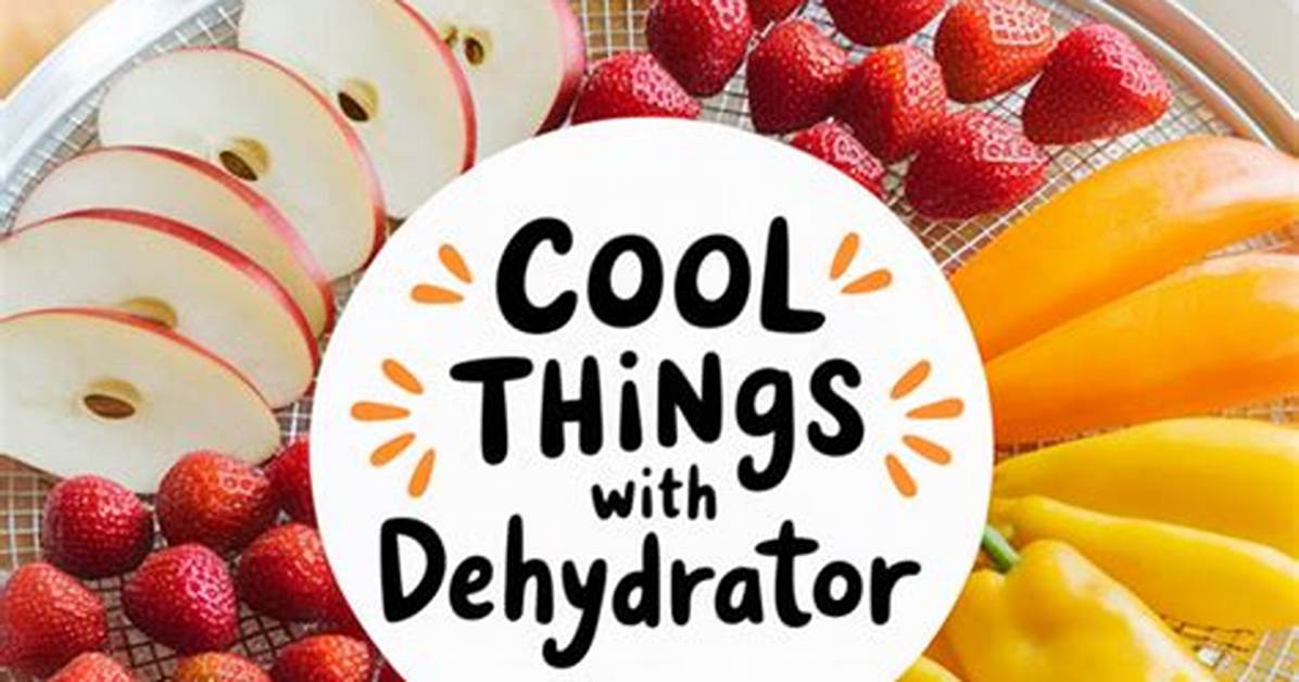 How Do You Use a Sweda Dehydrator