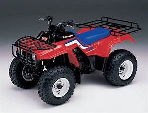 How Fast Does a Kawasaki Bayou 220 Go