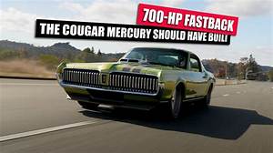 How Fast Is a Cougar