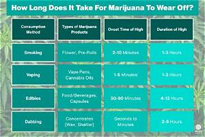How Long Does It Take for a Baseball Field to Dry