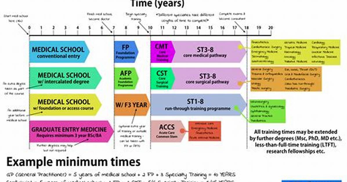 How Long Does It Take to Become an Md