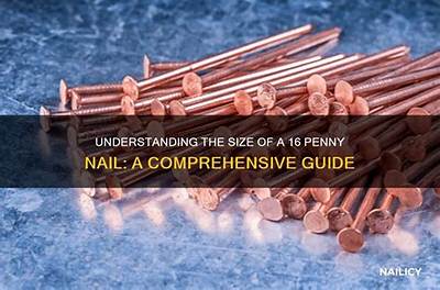 How Long Is a 16 Penny Nail