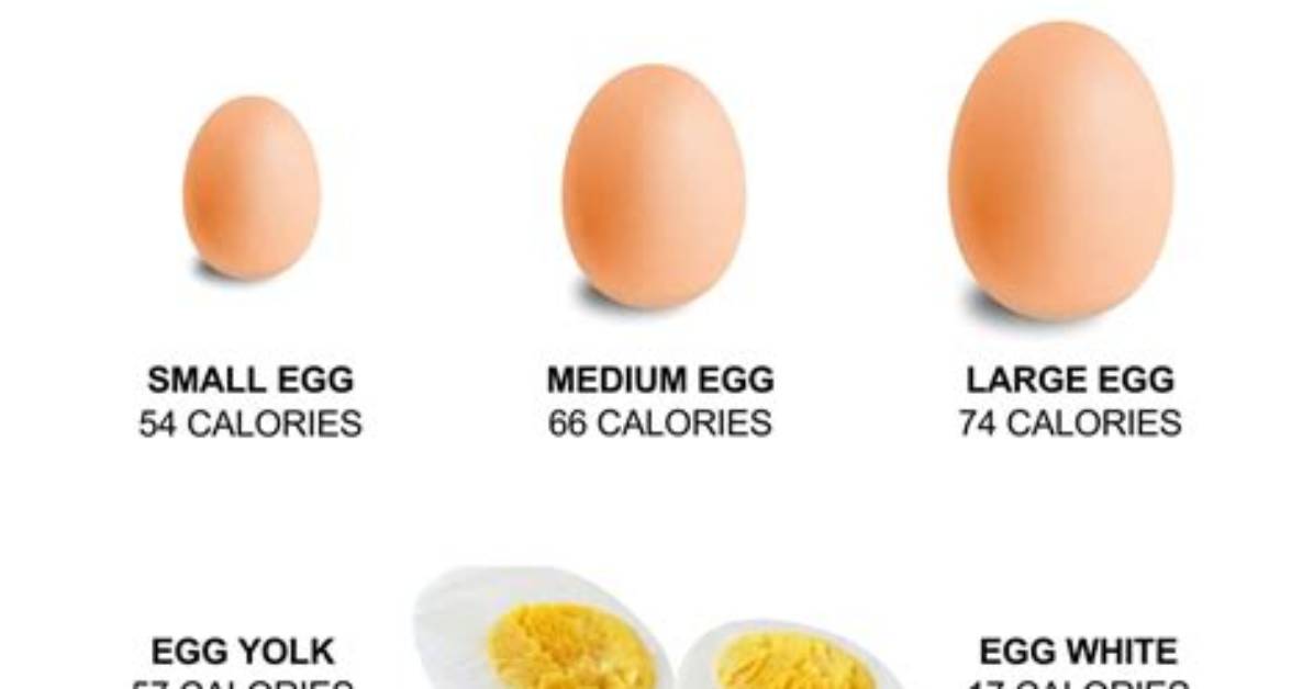 How Many Calories in a 2 Egg Omelette