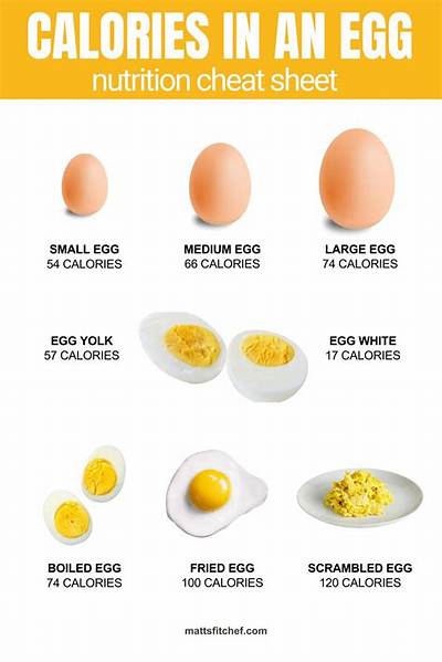 How Many Calories in a 2 Egg Omelette