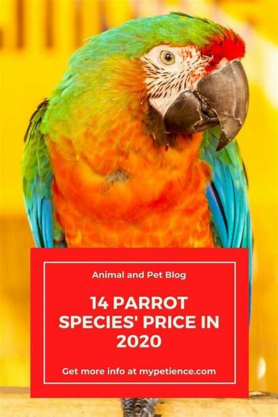 How Much Are Parrots at Petco