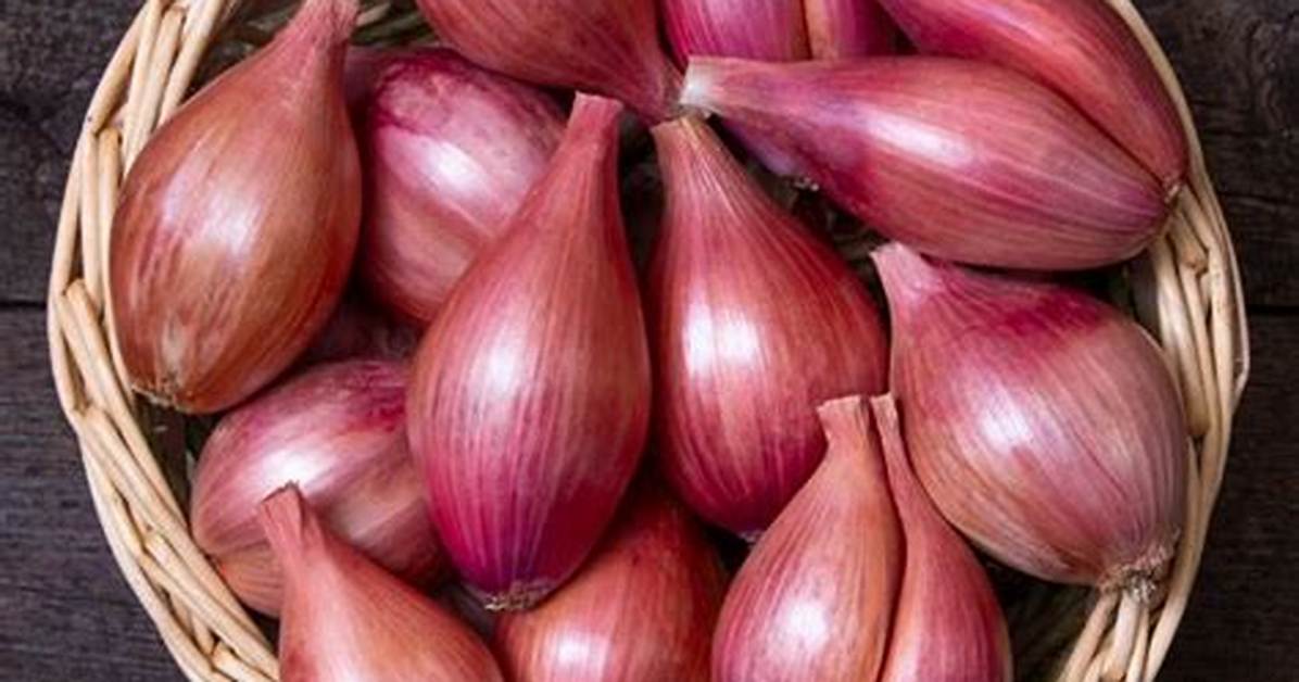 How Much Is 1 Shallot in a Recipe