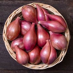 How Much Is 1 Shallot in a Recipe