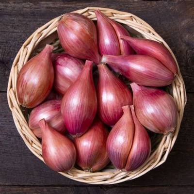 How Much Is 1 Shallot in a Recipe