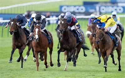 How Much Is a 1000 Guineas