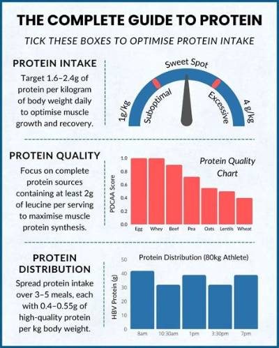 How Much Protein Is in a 1Kg Whole Chicken