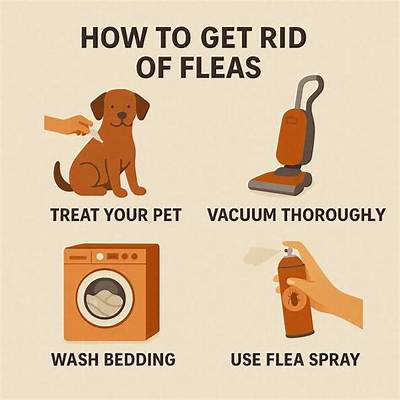 How to Get Rid of Fleas on Bunnies